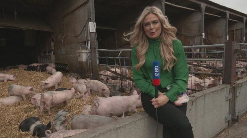Christmas meats ‘under threat amid shortage of butchers’