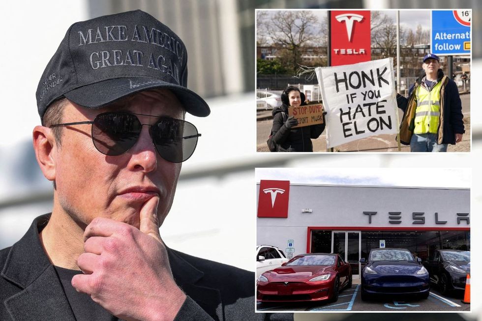 Elon Musk, a Tesla Takedown protest and a Tesla dealership