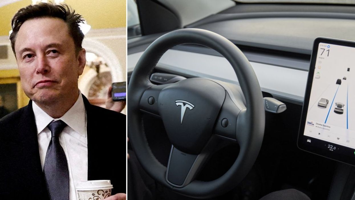 Elon Musk and a self-driving Tesla