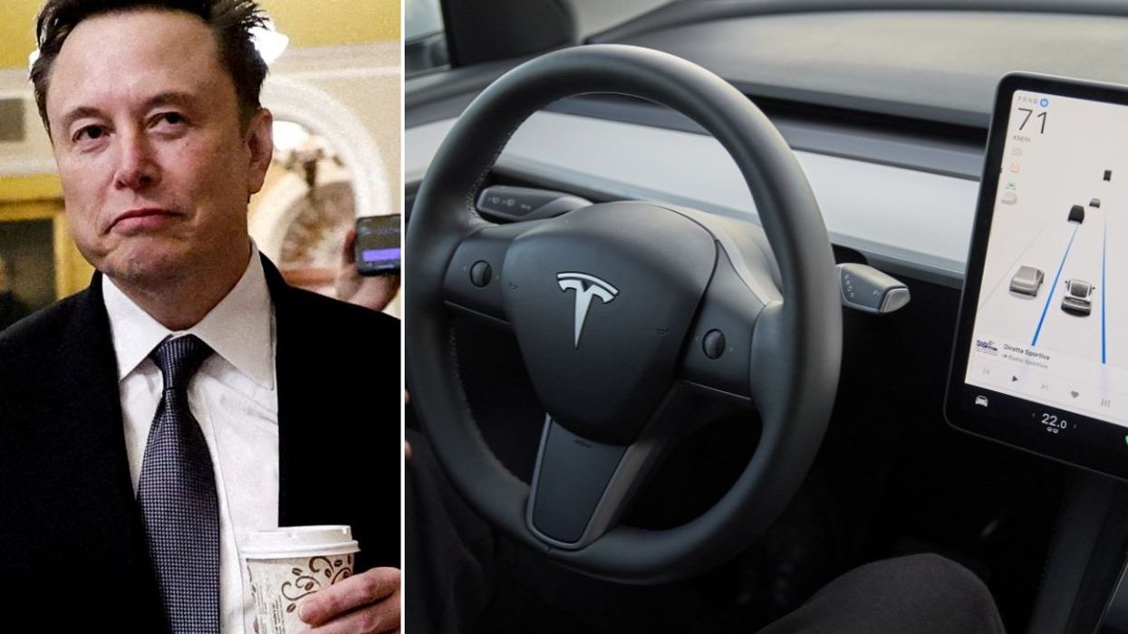 Elon Musk and a self-driving Tesla