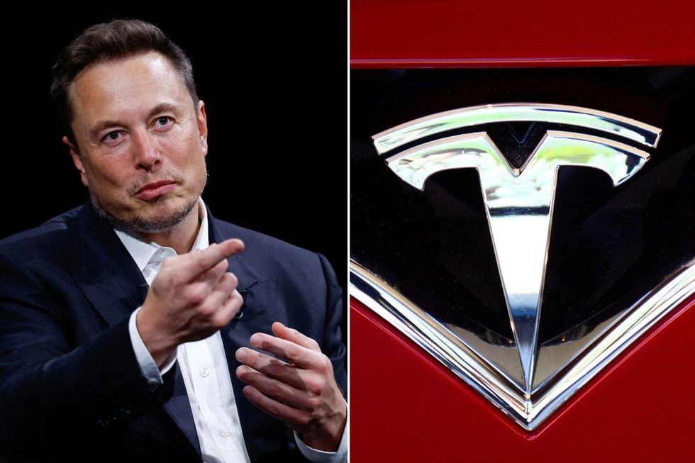 Elon Musk and a Tesla logo