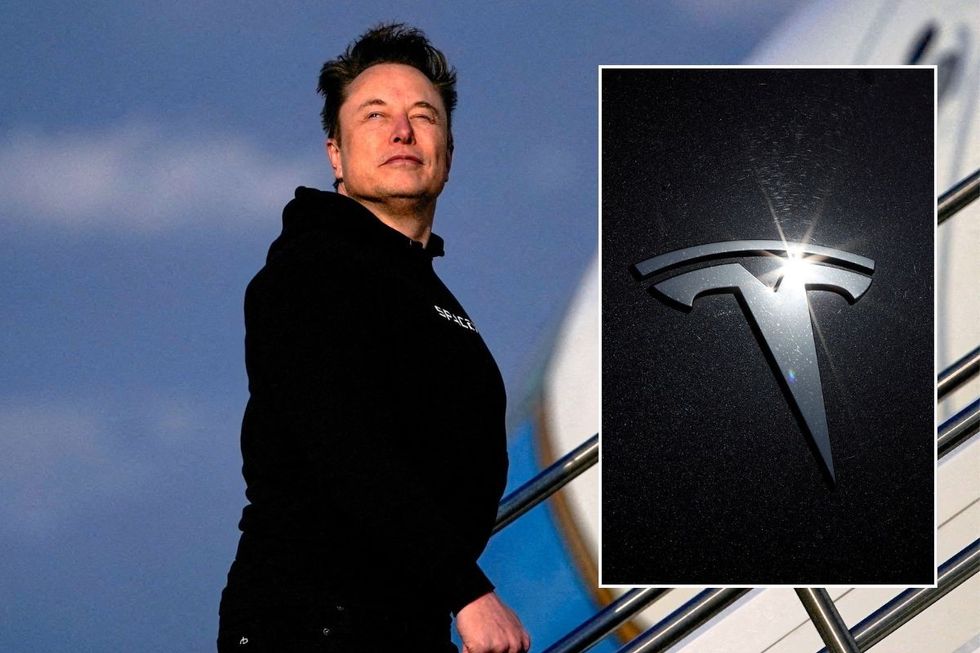 Elon Musk and a Tesla logo