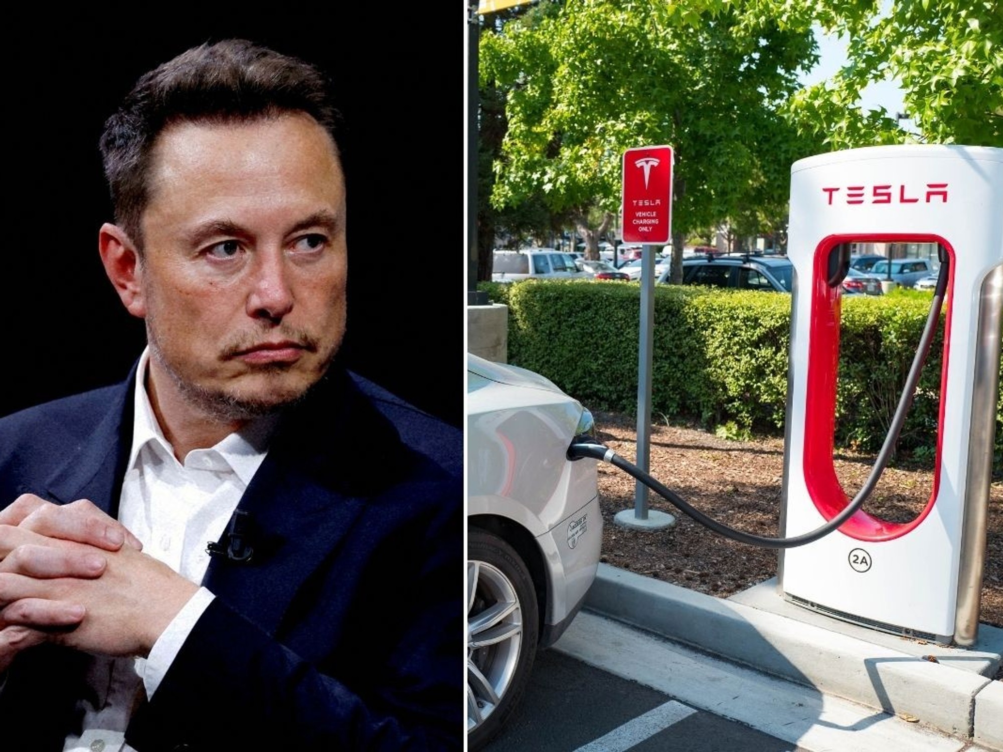 Big Tech pushing 'distorted version of consciousness': Musk's X ...