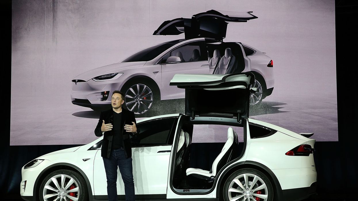 Elon Musk and a Tesla