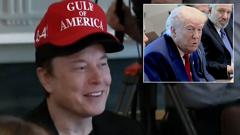 Elon Musk and Donald Trump