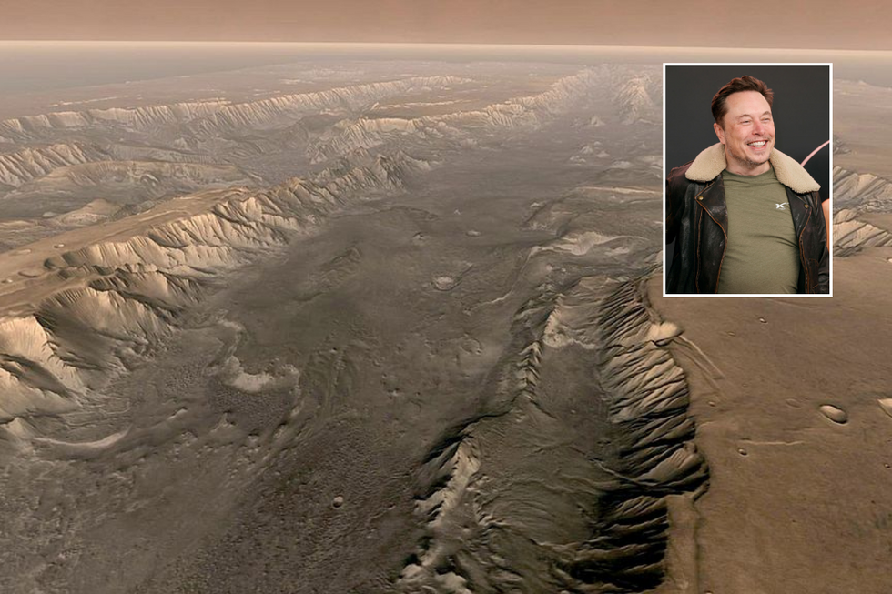 Elon Musk and surface of Mars