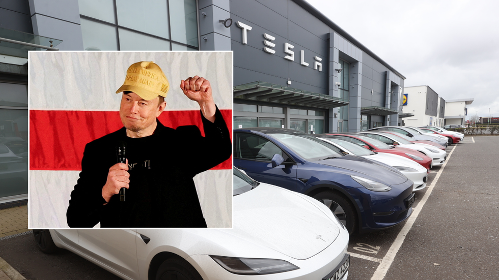 Elon Musk and Tesla shop