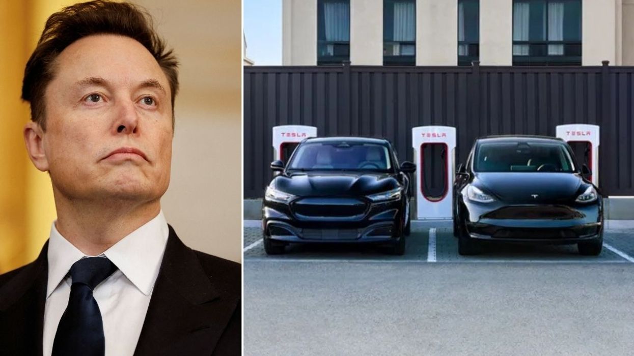 Elon Musk and two Tesla vehicles charging