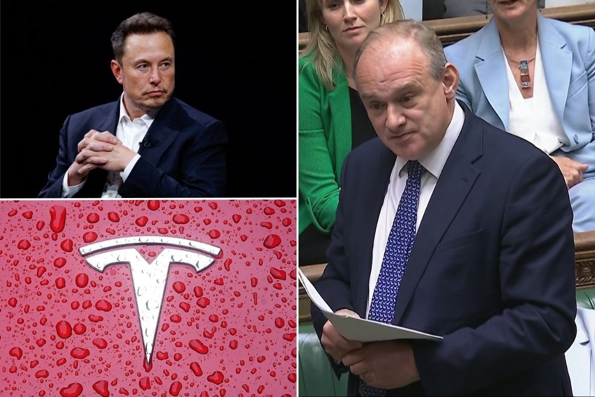 Elon Musk, Ed Davey and a Tesla logo