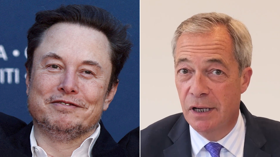 Elon Musk/Nigel Farage