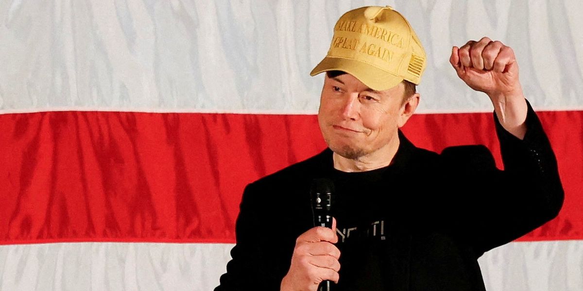 NextImg:Elon Musk vows to hand out $1 MILLION a day to US voters in bid to ramp up support for Trump