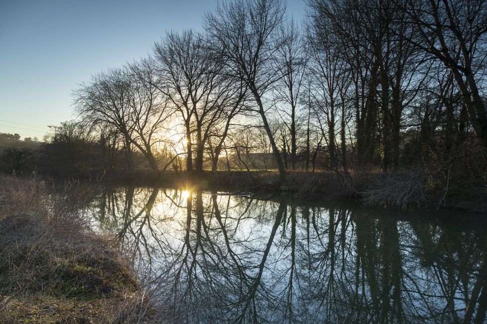 EMBARGOED TO 0001 FRIDAY JANUARY 28 Undated handout photo issued by National Trust of a view of River Avon in Bath, as The National Trust has unveiled plans for a %22green corridor%22 to link the centre of Bath to the surrounding countryside and create new habitat for wildlife. Issue date: Friday January 28, 2022.