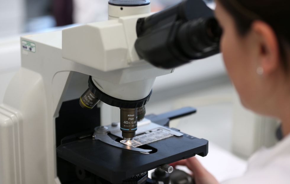 EMBARGOED TO 0001 MONDAY APRIL 4 File photo dated 09/05/13 of a general view of a woman using a microscope, as a new test could take less than two days to predict what drug combinations might work for cancer patients, a new study suggests.