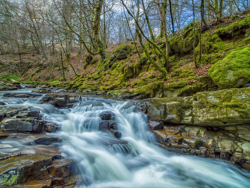 EMBARGOED TO 0001 SUNDAY MAY 1 MANDATORY CREDIT REQUIRED Undated handout photo issued by the Queen's Green Canopy of the The Birks of Aberfeldy, immortalised in song by the poet Robert Burns, characterised by the captivating Falls of Moness and the beauty of Ancient birch trees lining the picturesque gorge. The Prince of Wales, Patron of The Queen's Green Canopy (QGC), will unveil a nationwide network of seventy ancient woodlands and seventy ancient trees, to be dedicated to his mother, Queen Elizabeth II, in celebration of the Platinum Jubilee. Issue date: Sunday May 1, 2022.