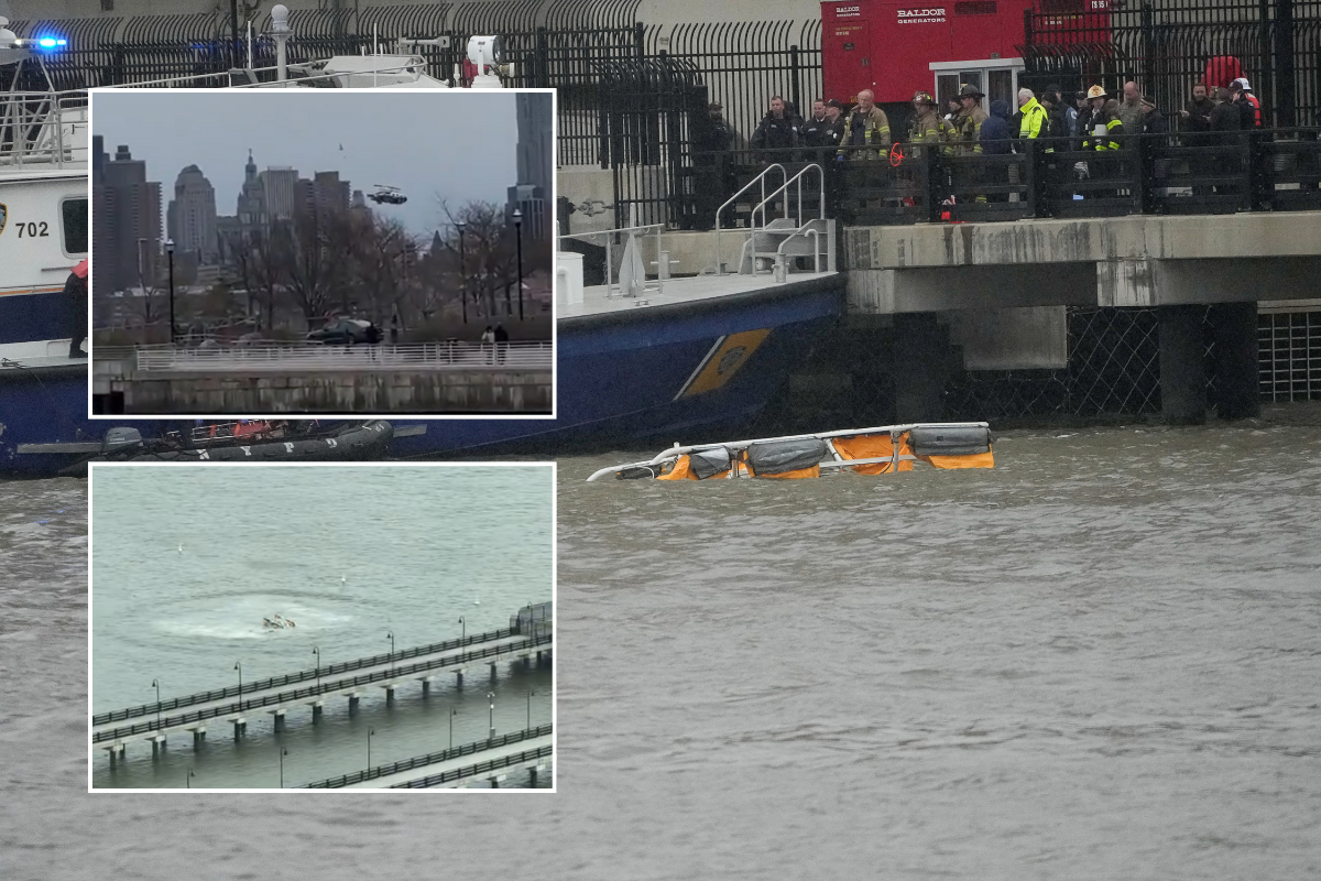 Emergency services at the scene in the Hudson River