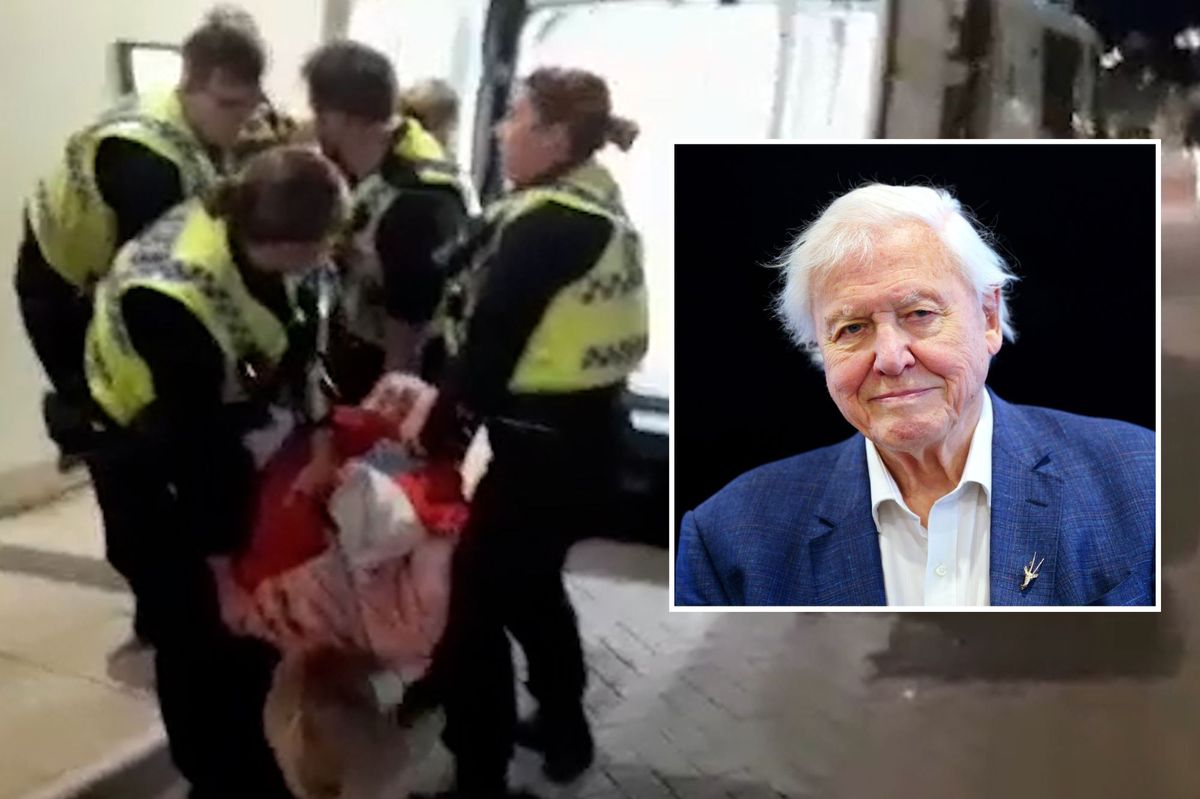 Emma Smart being carried away by police