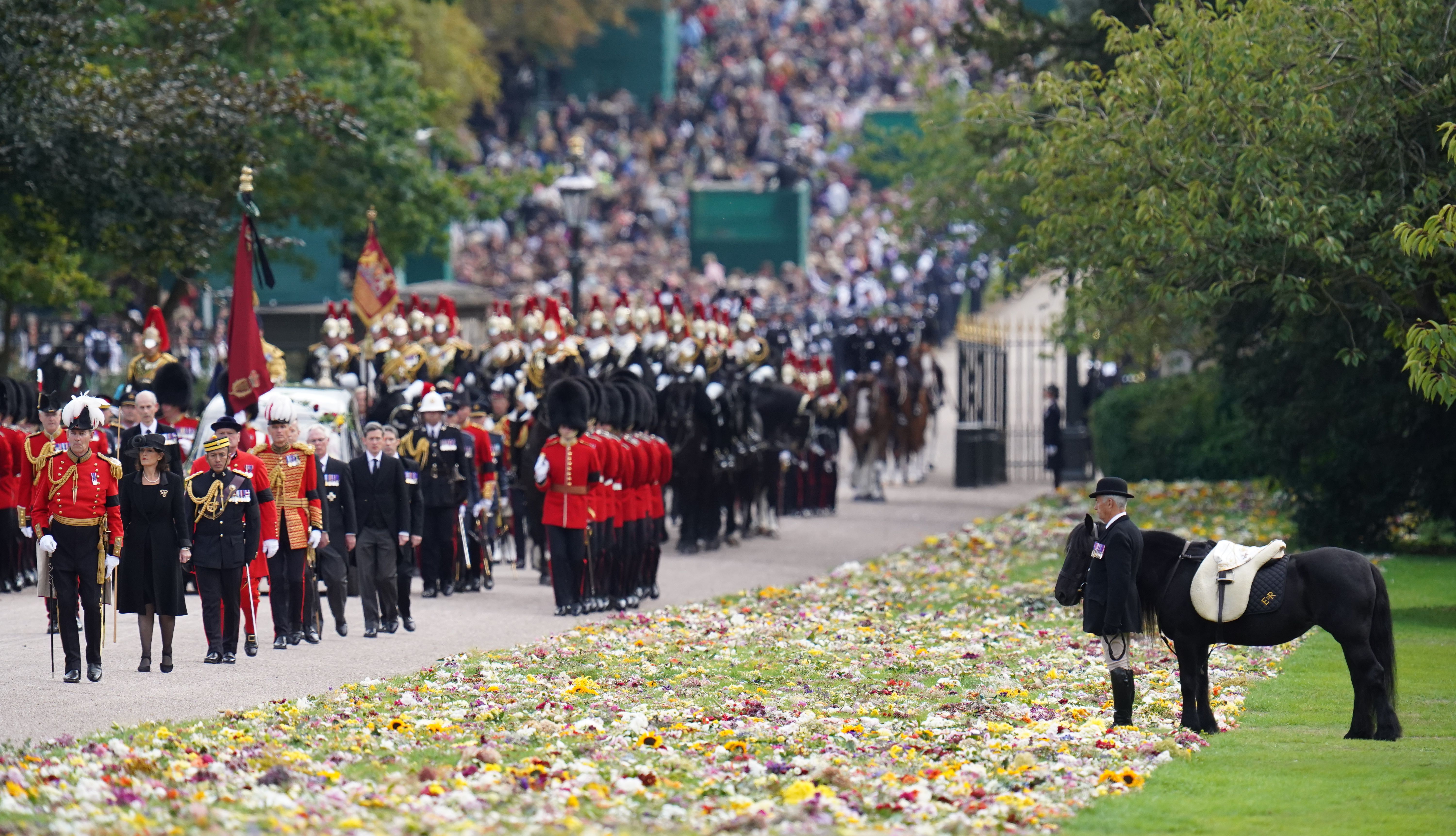 Emma, the monarch's fell pony attend the Ceremonial Procession .
