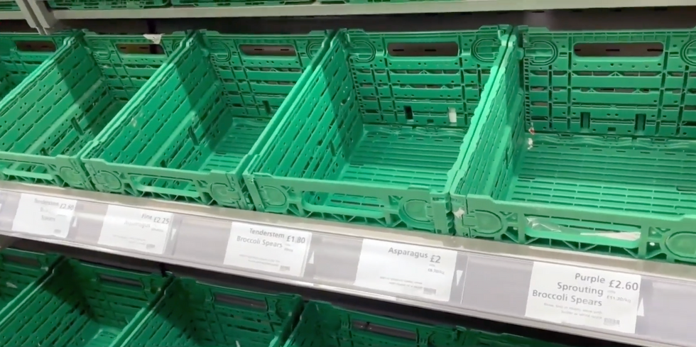 Empty vegetable shelves in a supermarket
