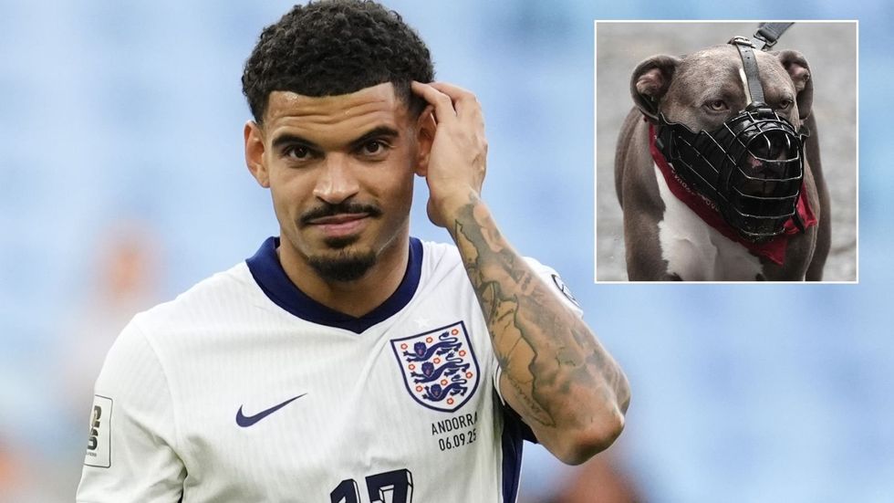 England and Nottingham Forest midfielder Morgan Gibbs-White has been fined after admitting he failed to register his banned XL Bully dog, with his lawyer insisting the oversight was due to his hectic schedule