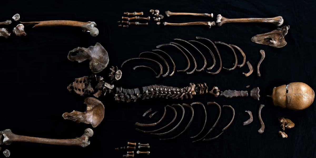 NextImg:Archaeologists make discovery to solve 800-year-old mystery over attack on castle