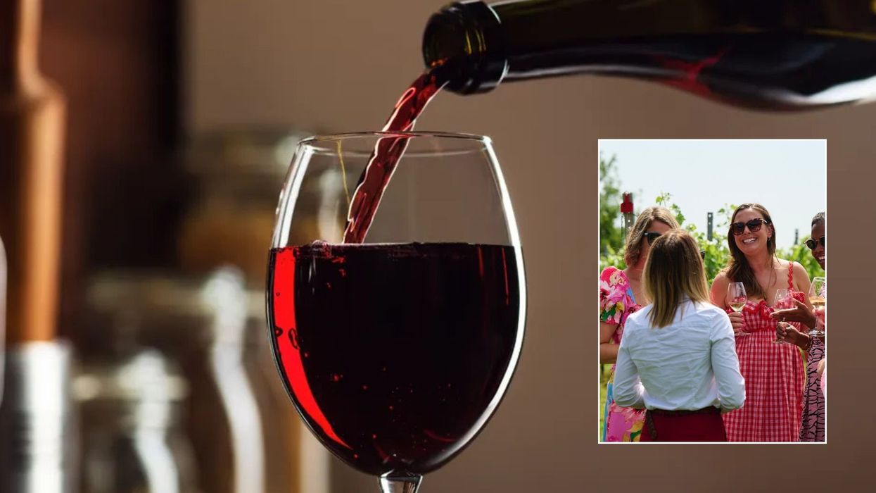 English winemakers celebrate 'unicorn vintage' as record-breaking summer brings golden harvest