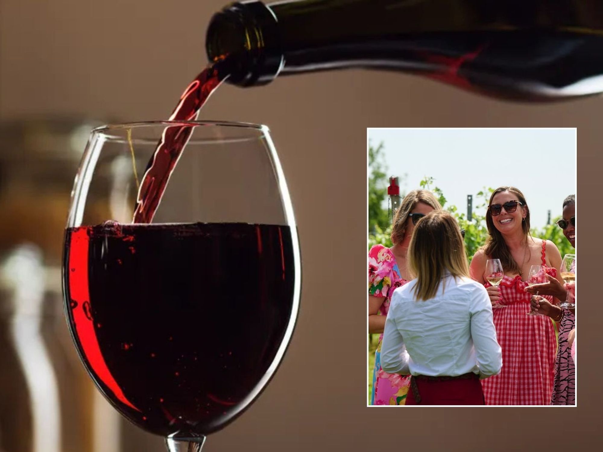 English winemakers celebrate 'unicorn vintage' as record-breaking summer brings golden harvest