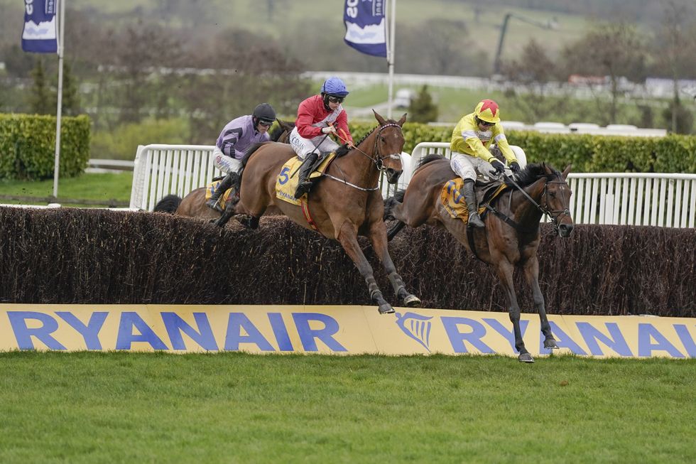 Envoi Allen tragically passed away after collapsing following the Gold Cup