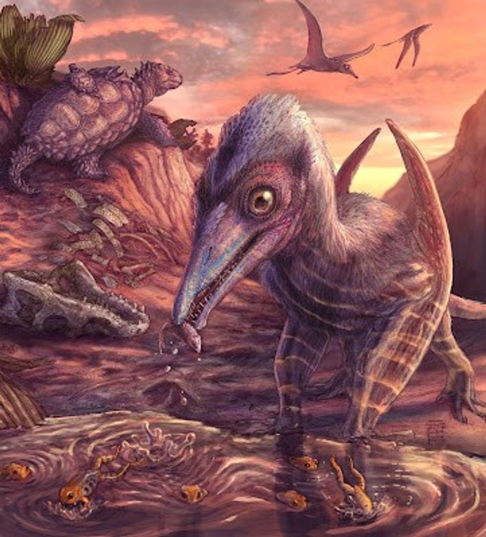 Eotephradactylus mcintireae