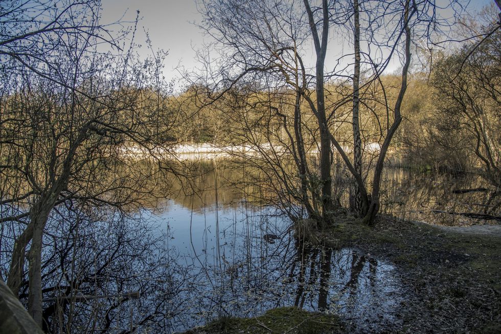 Epping Forest