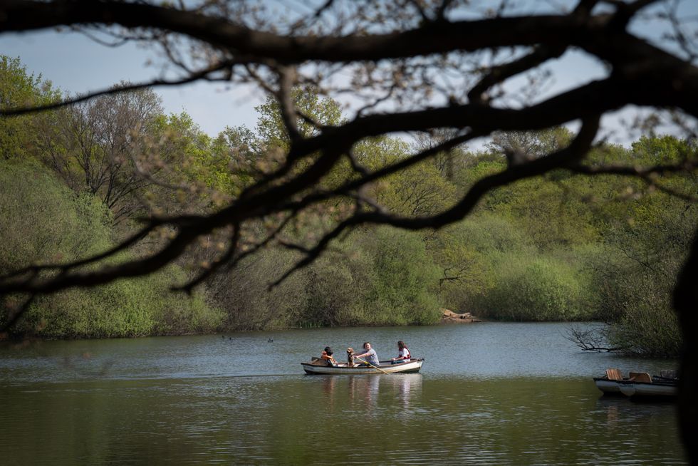 Epping Forest