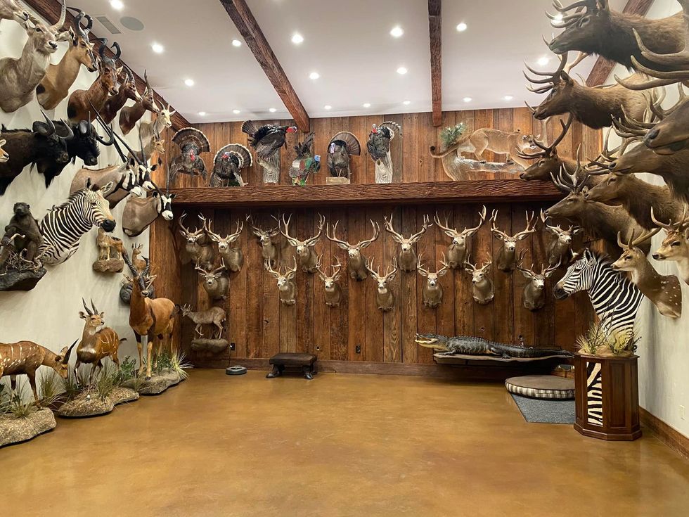 Ernie Dosio's collection