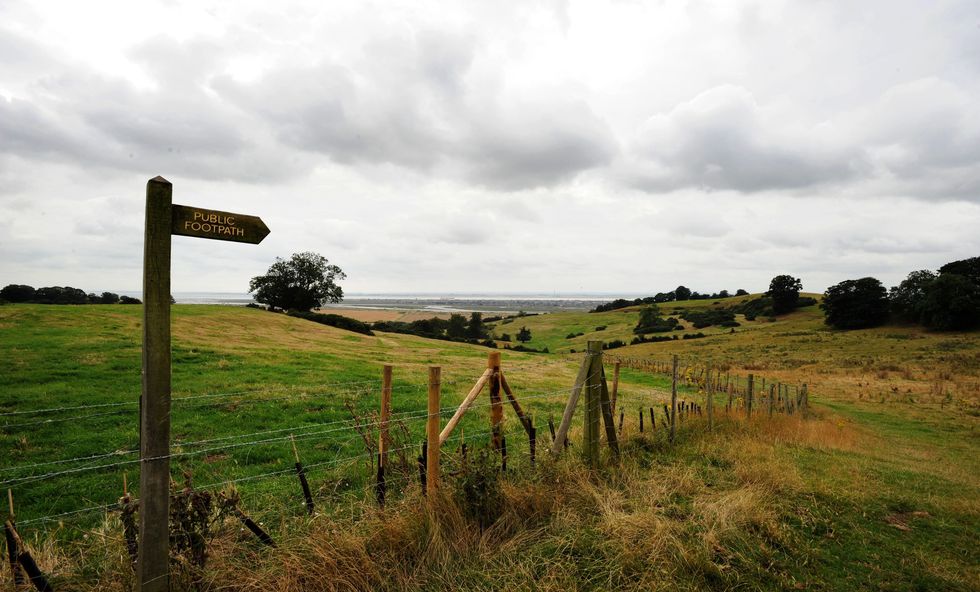 Essex countryside