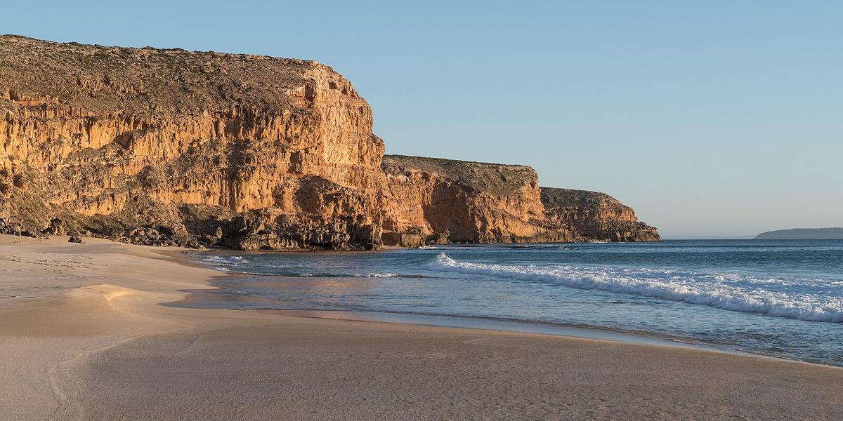 NextImg:Shark attacks teen in front of dad as horrific mauling leaves young surfer dead