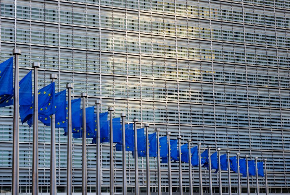 EU Flags