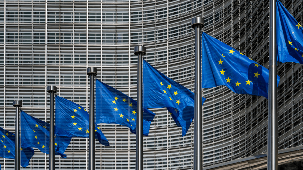 EU flags