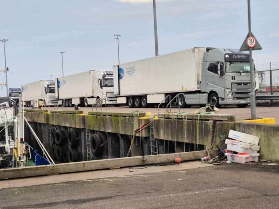 EU lorries line up ready to take the catch straight to the EU, skipping any regulation