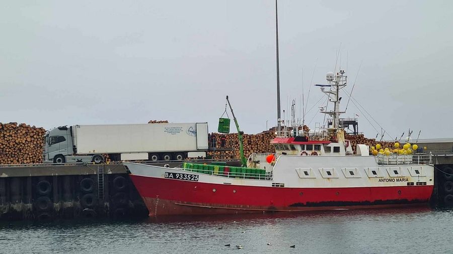EU vessel the Antonio Maria unloads its catch straight into an EU lorry without any inspection