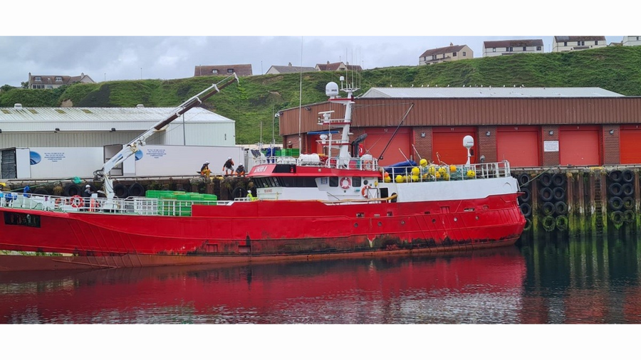 EU vessel unloading catch into an EU lorry with no inspectors in 2022