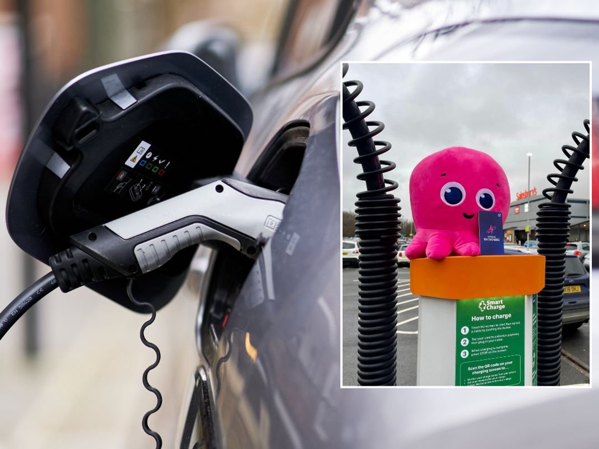 EV charger and Octopus Electroverse