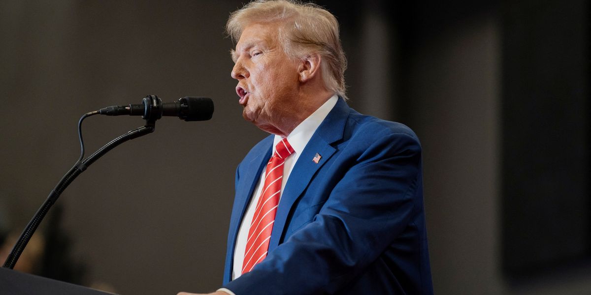 NextImg:Donald Trump says he 'did absolutely nothing wrong' amid controversial immunity claim