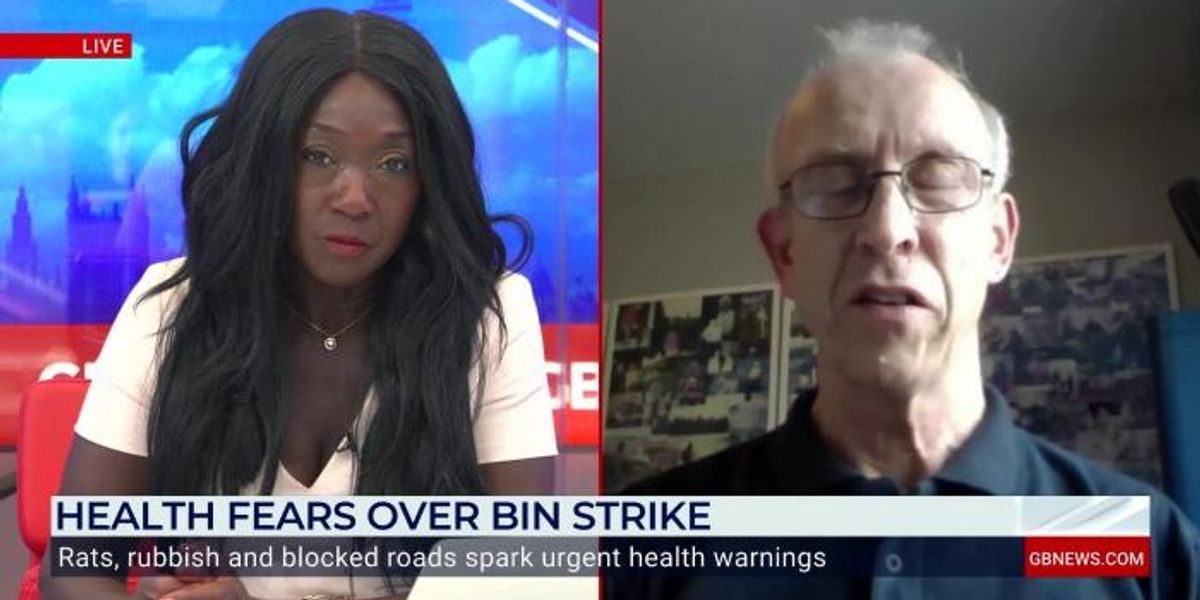 NextImg:WATCH: Expert says rats are 'breeding freely' in Birmingham as bin strikes continue