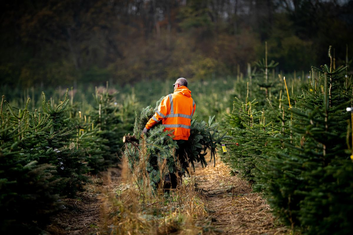 Experts have warned of a shortage