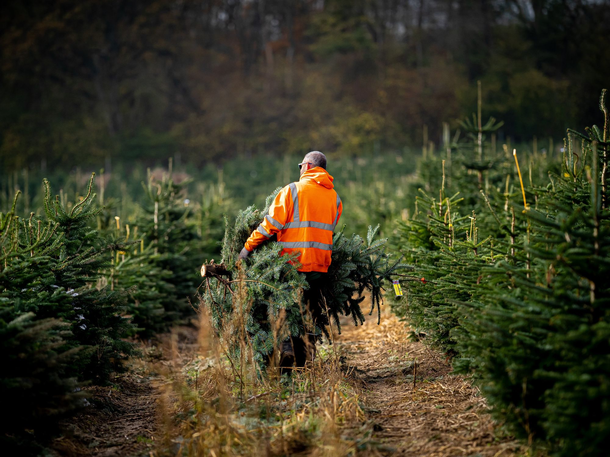 Experts have warned of a shortage