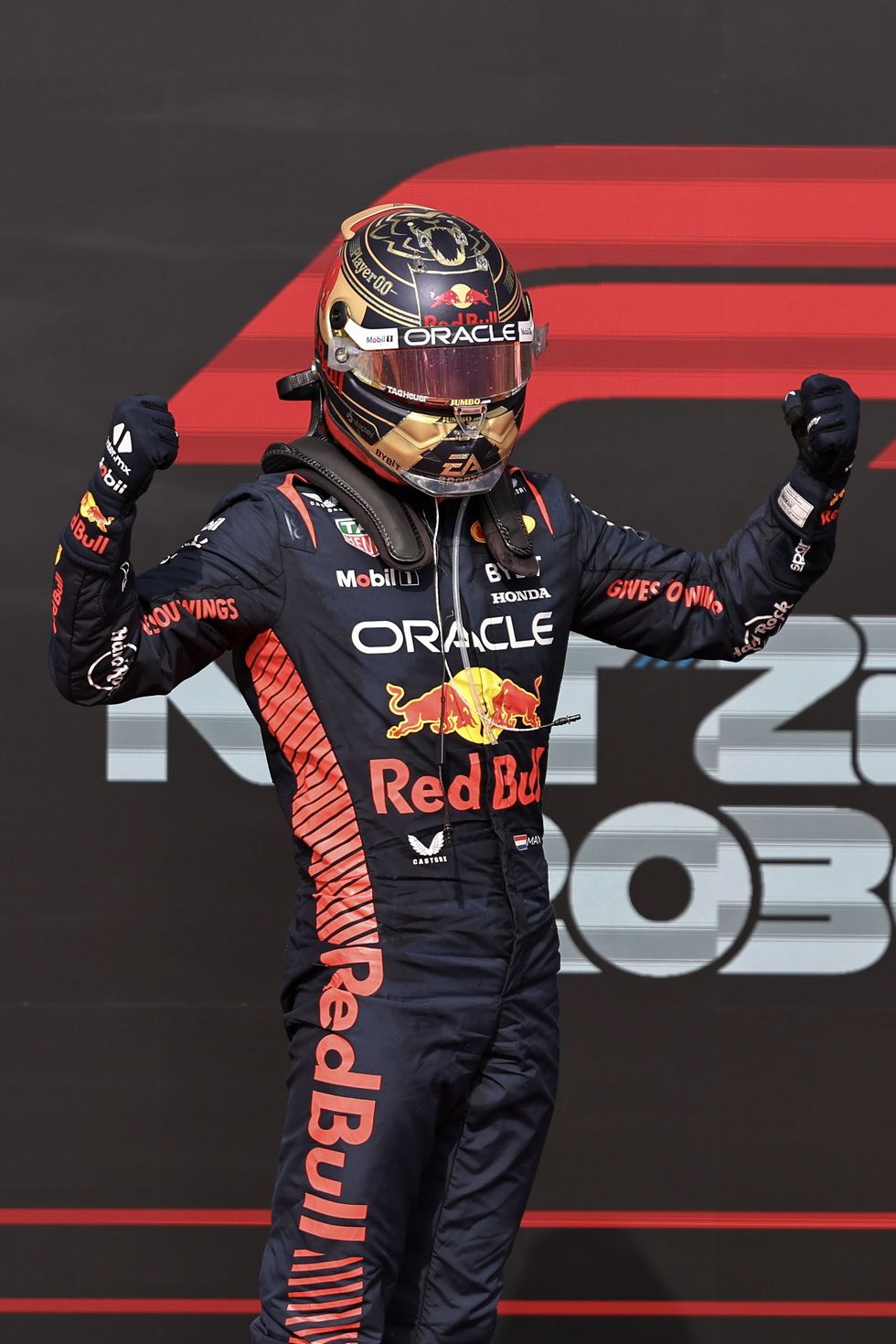 F1 Max Verstappen