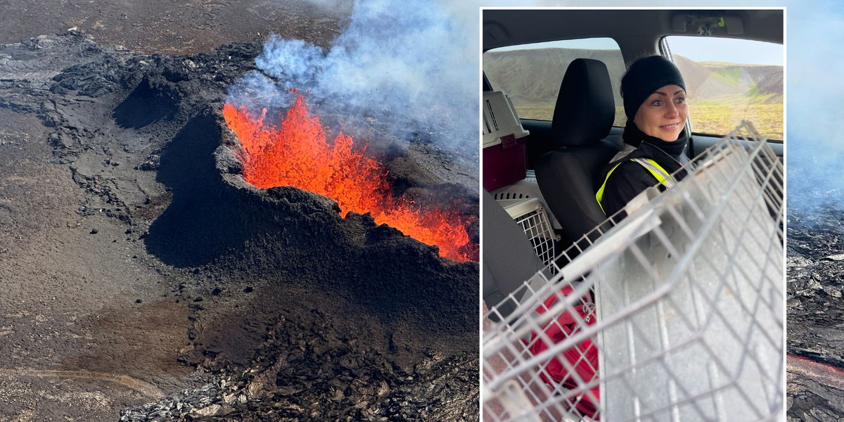 NextImg:Iceland volcano set to erupt with thousands forced to flee homes to avoid 'fire fountains'