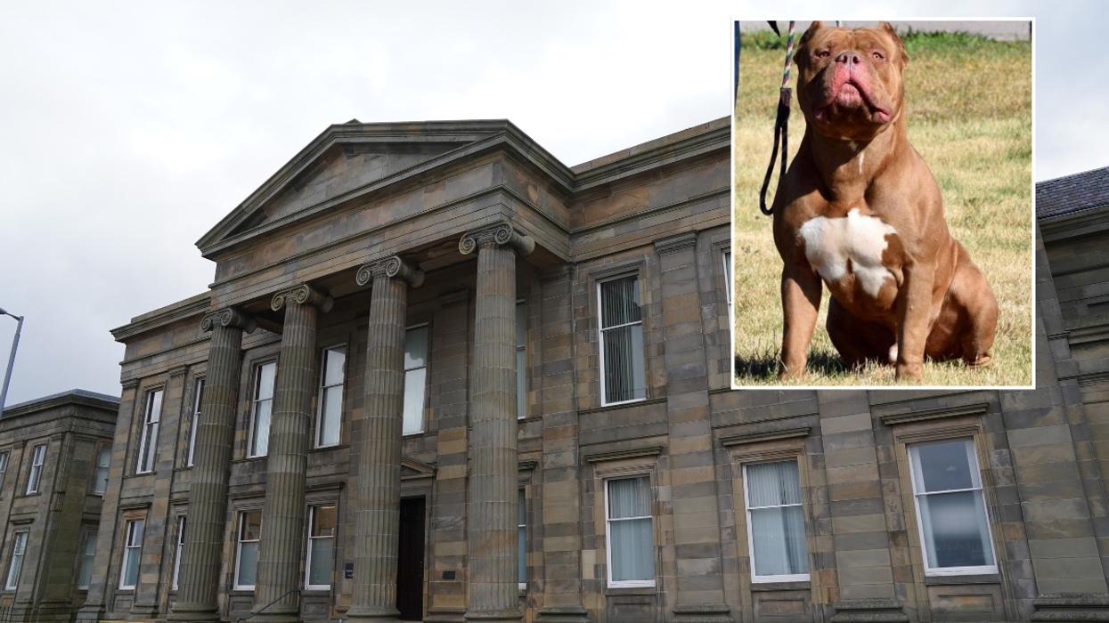 Falconer appeared at Hamilton Sheriff Court