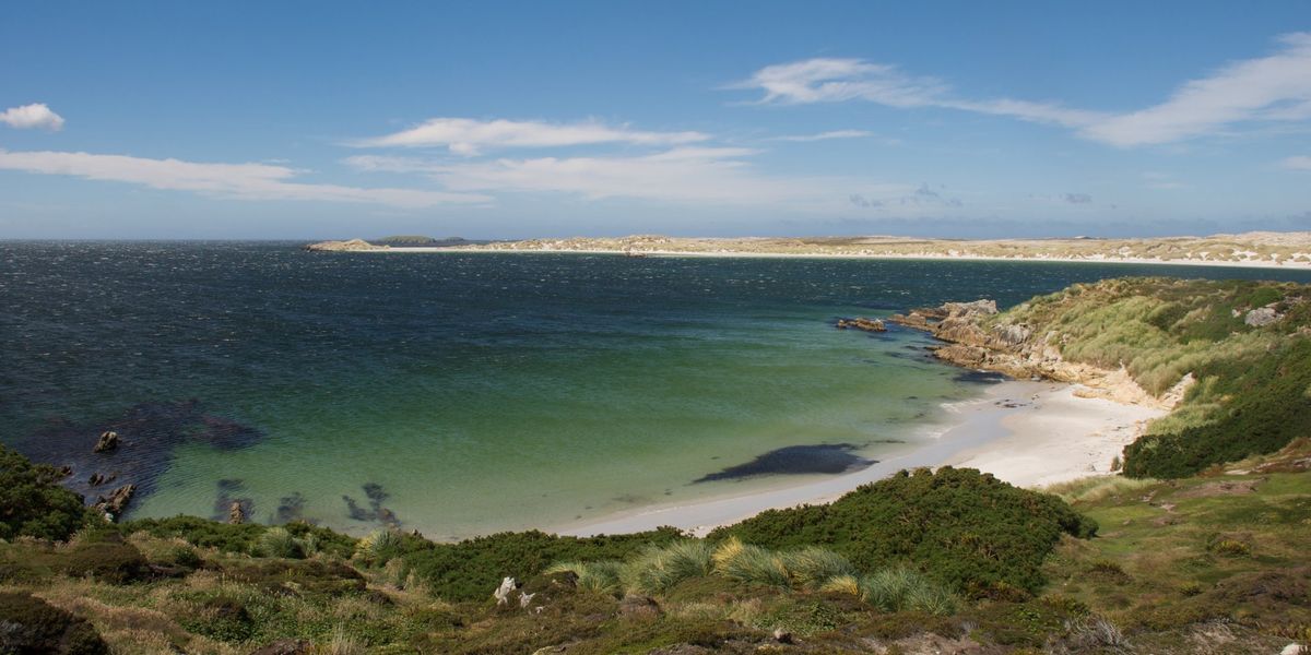 Noticias de las Islas Malvinas: Chile respalda la reclamación de Argentina a las Islas Malvinas en un gran desafío para Gran Bretaña.