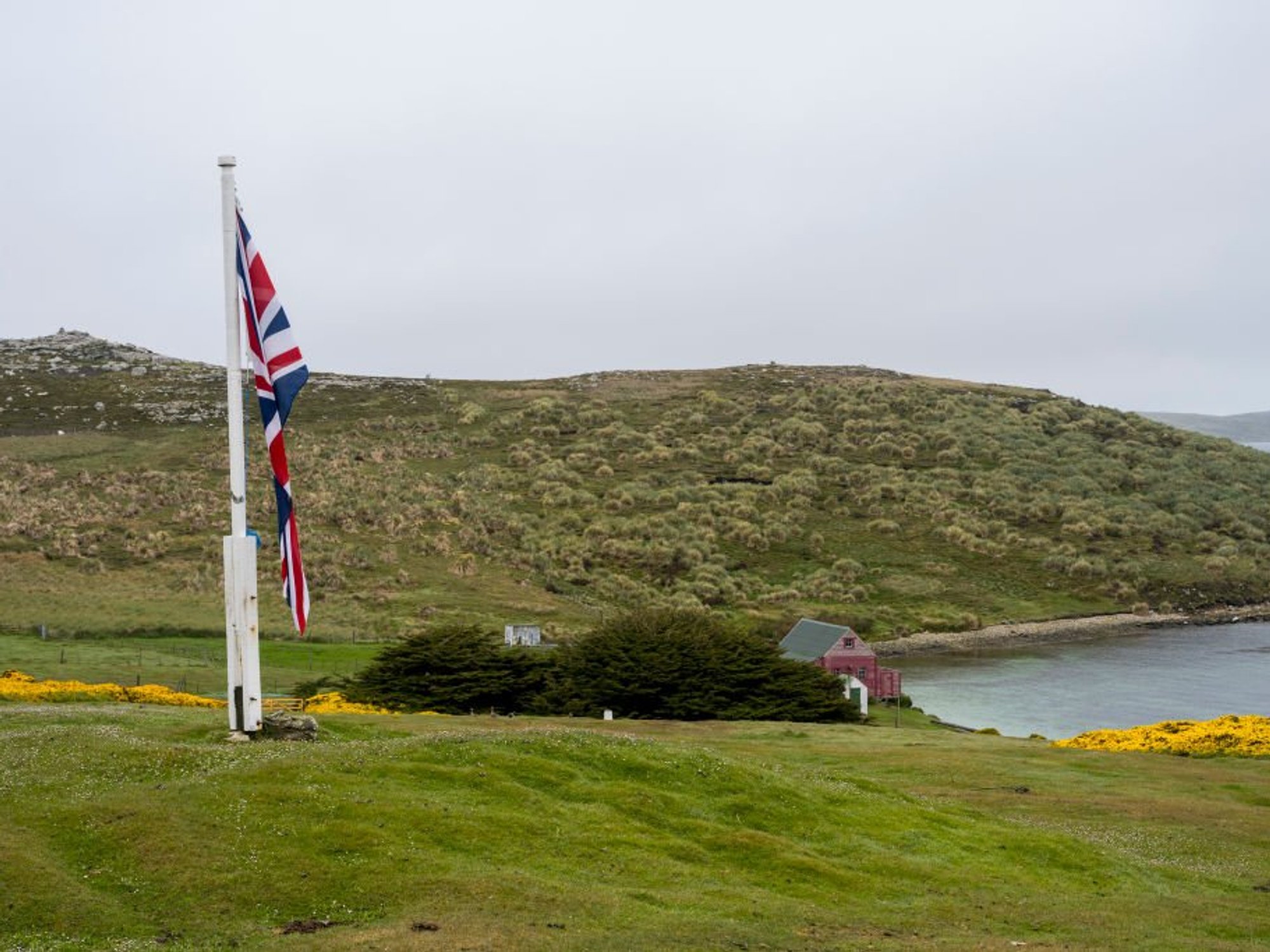 Falkland Islands
