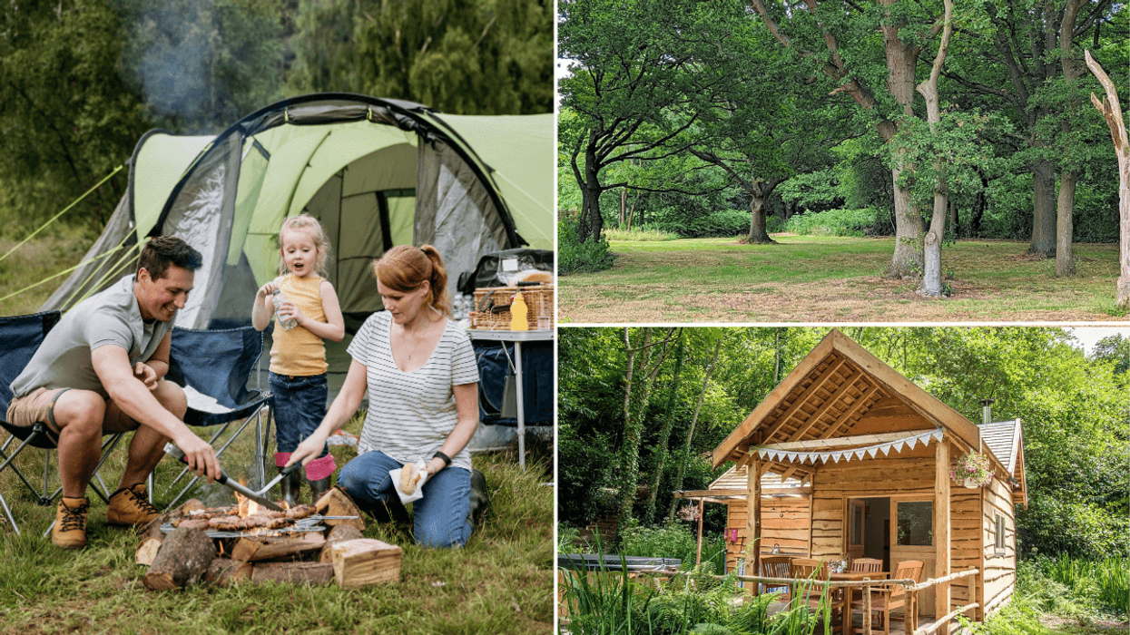 Family camping / The Spinney Wild Camping / Owl Valley Glamping