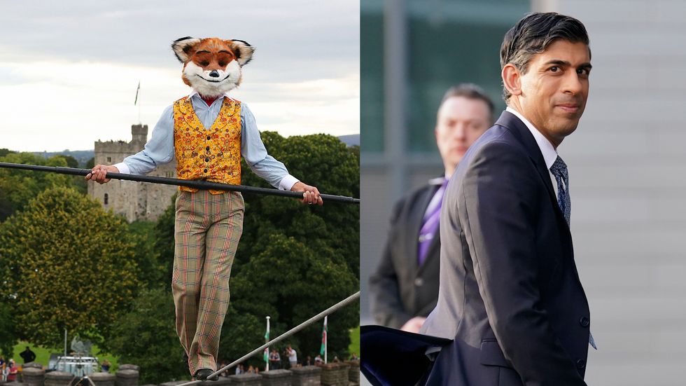 Fantastic Mr Fox is among the pieces of literature subjected to amendments